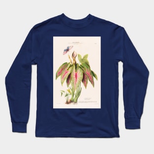Caladium Bicolor - Flore d’Amérique - Botanical Illustration Long Sleeve T-Shirt